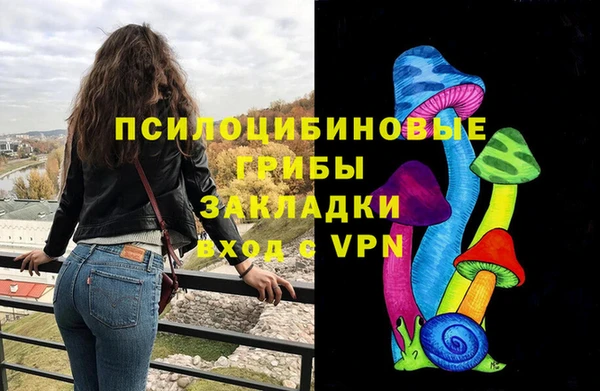 гидра Белоозёрский