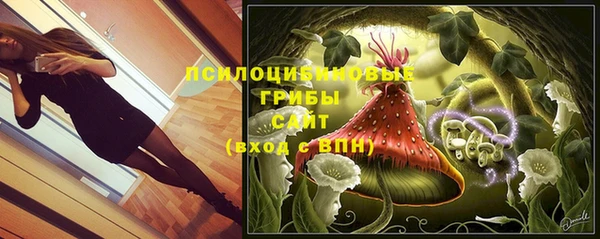 бошки Беломорск