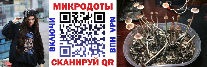 Галлюциногенные грибы MAGIC MUSHROOMS  Болхов 